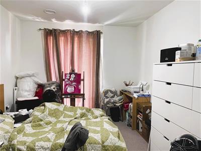 Picture 8
